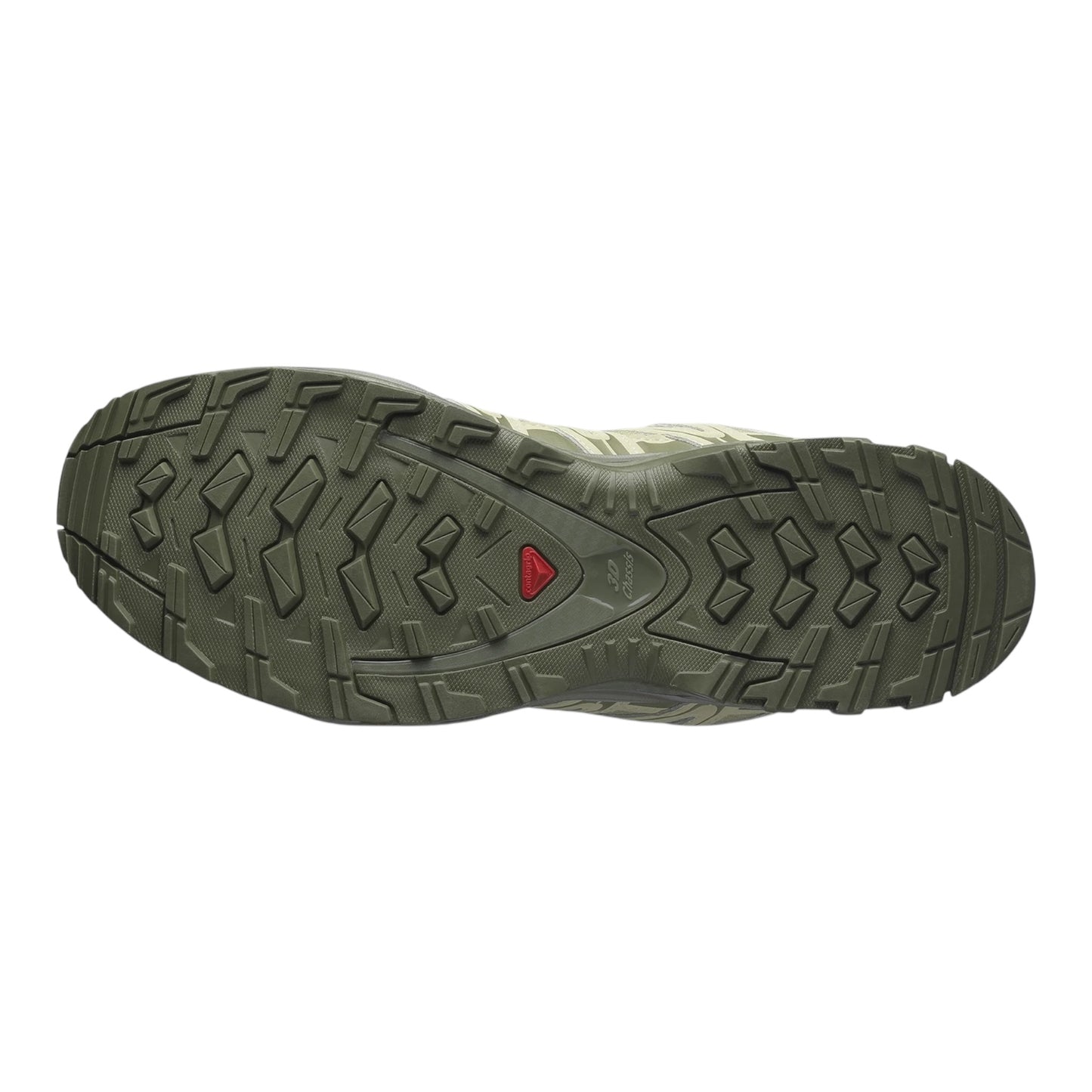 Salomon - XA Pro 3D Gore-Tex - Gray Green / Alfalfa / Deep Lichen Green - Chaussures unisexe